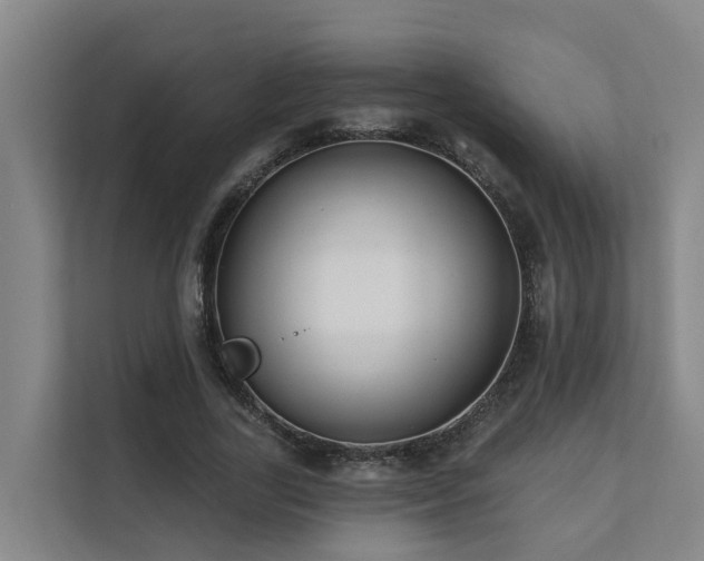 X0000111380731200907101125