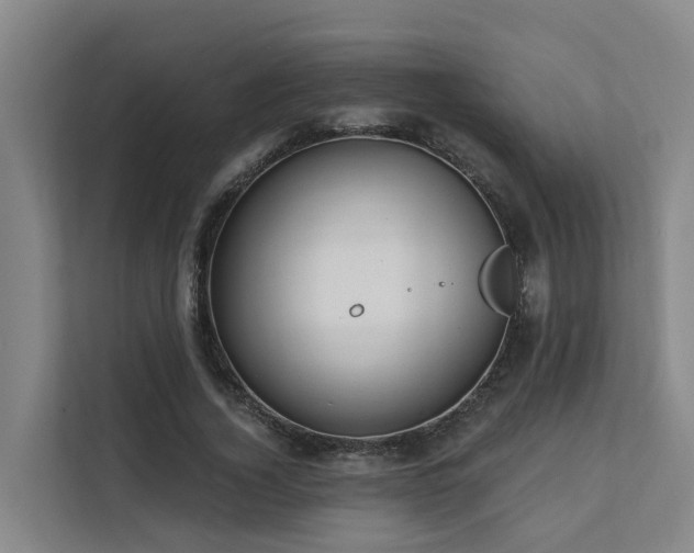 X0000111380732200907101125