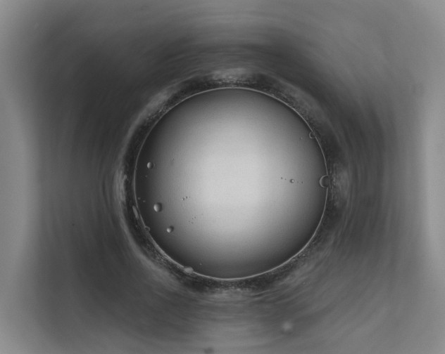X0000111380734200907101125
