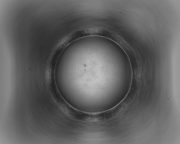 X0000111380735200907101125