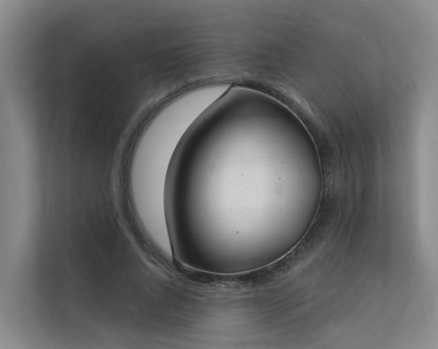 X0000111380736200907101125
