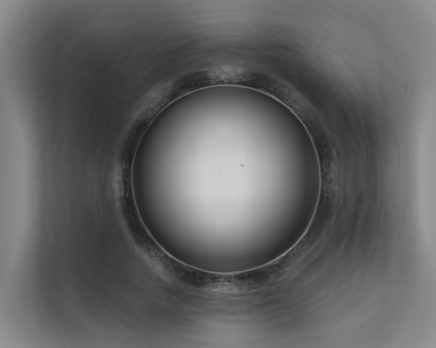 X0000111380738200907101126