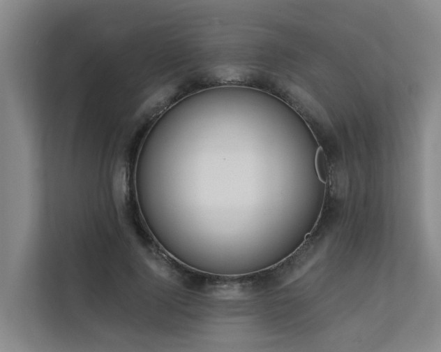 X0000111380740200907101126
