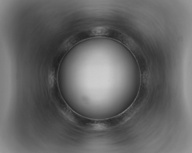 X0000111380741200907101126