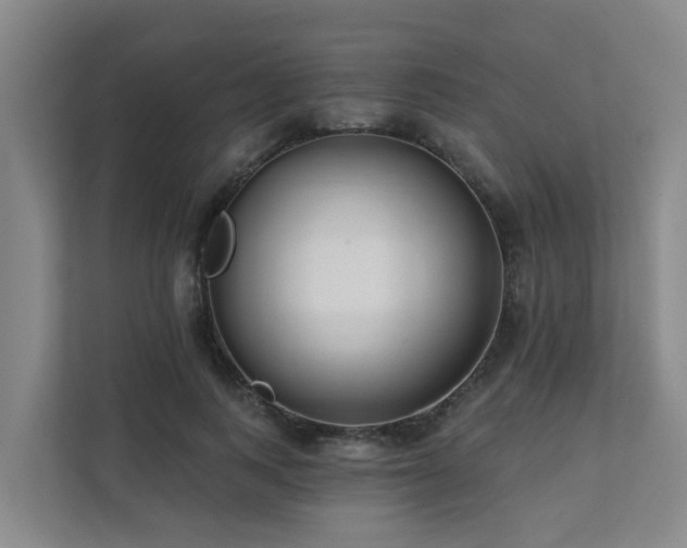 X0000111380743200907101126