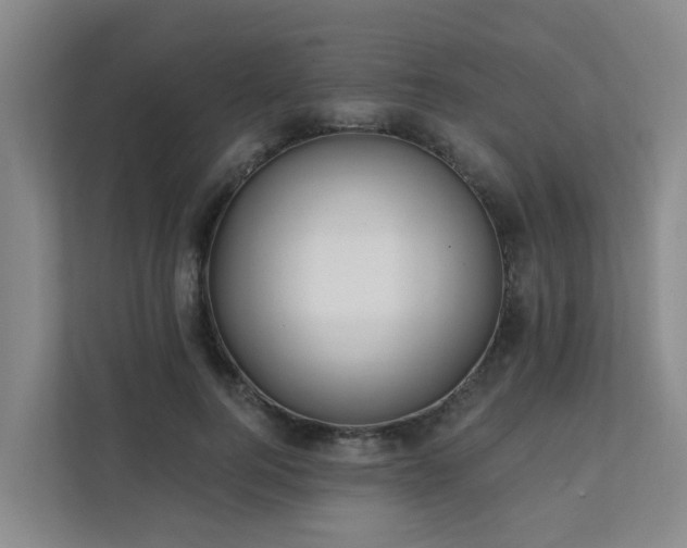 X0000111380744200907101126