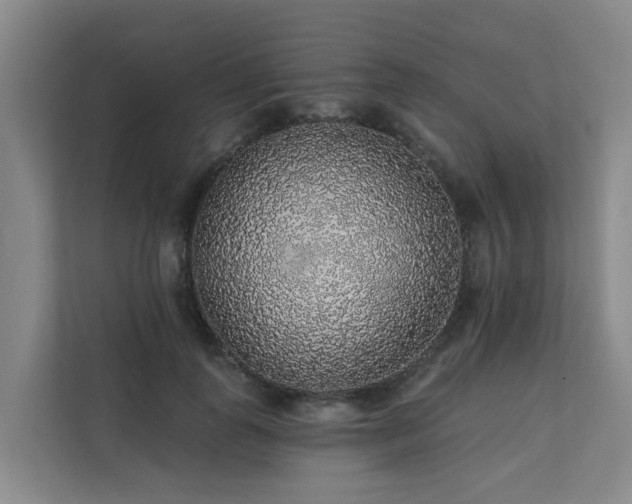 X0000111380747200907101126
