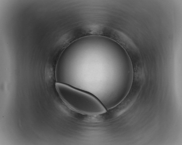 X0000111380748200907101126