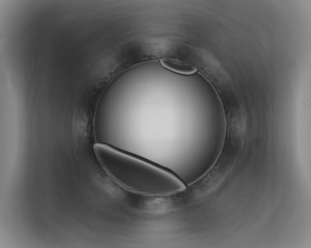 X0000111380750200907101126
