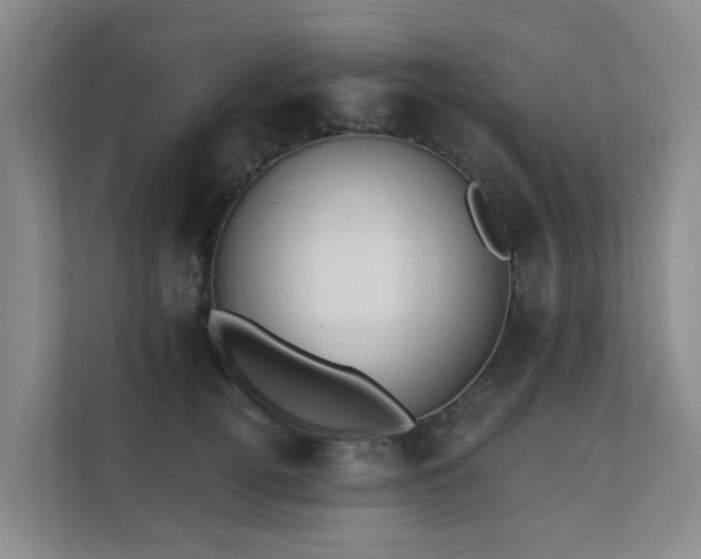X0000111380752200907101126