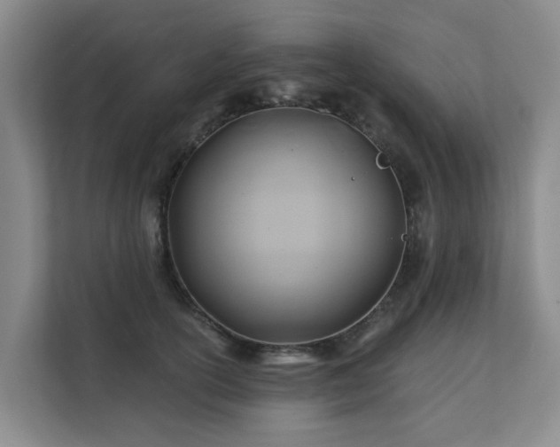 X0000111380754200907101126