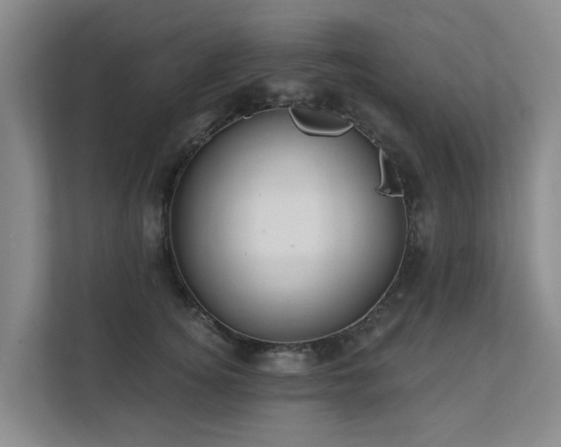 X0000111380756200907101126