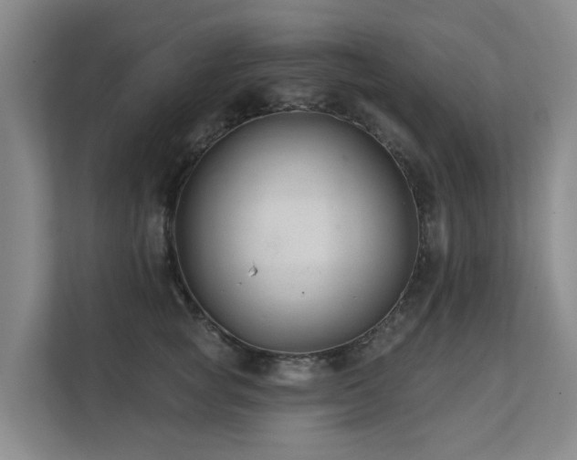X0000111380757200907101126