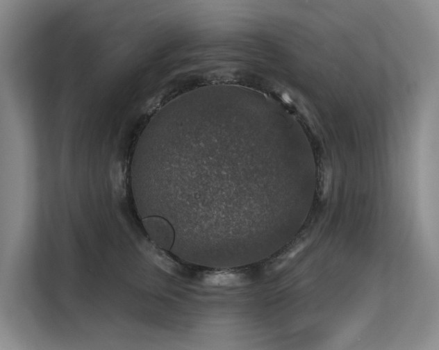 X0000111380759200907101126