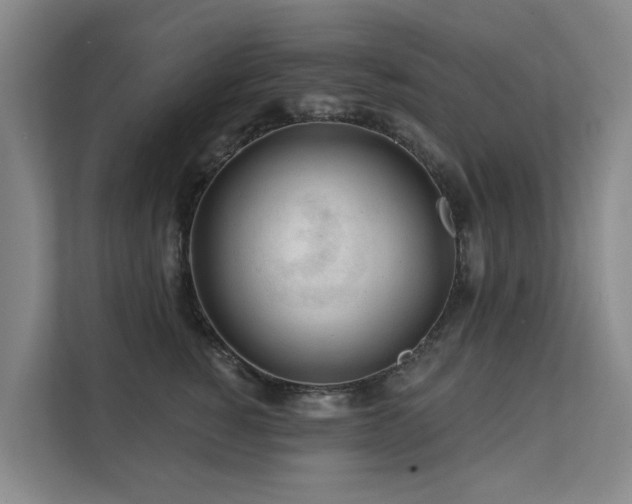 X0000111380760200907101126