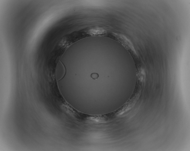 X0000111380763200907101126