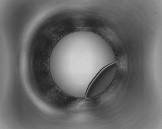 X0000111380764200907101126