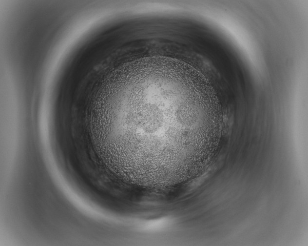 X0000111380765200907101126
