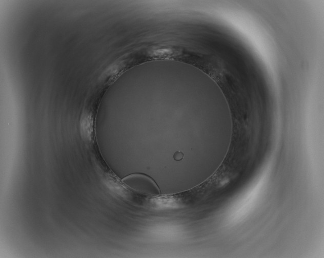 X0000111380767200907101126