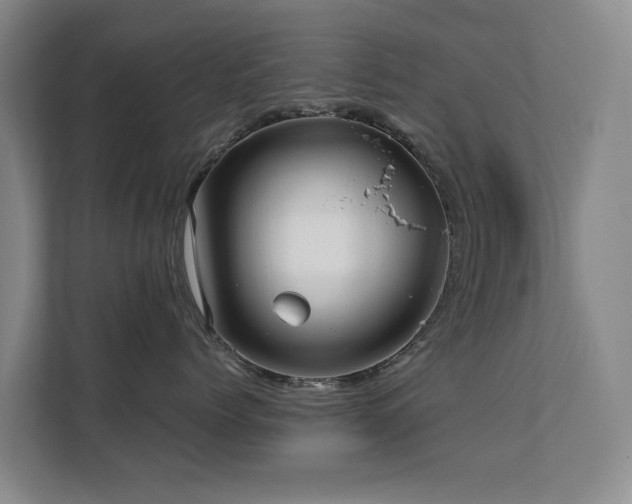 X0000111380768200907101126