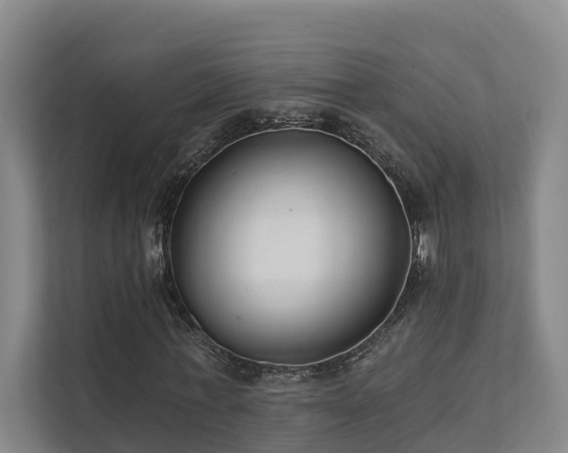 X0000111380771200907101125