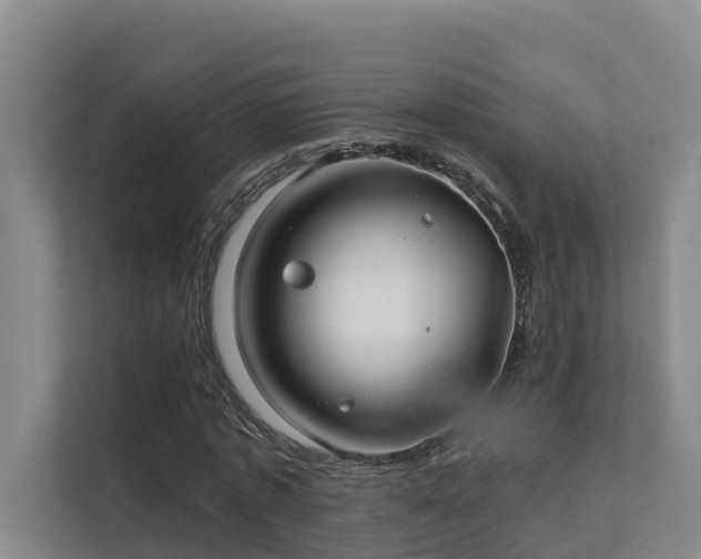 X0000111380773200907101125