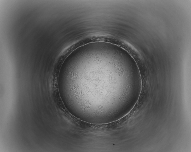 X0000111380775200907101125