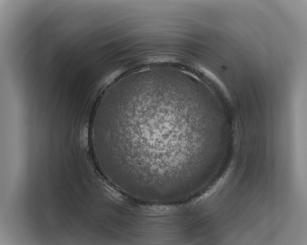 X0000111380777200907101125