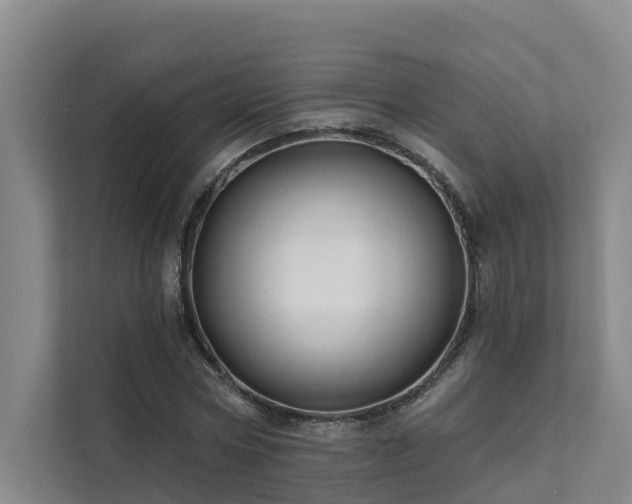 X0000111380778200907101125