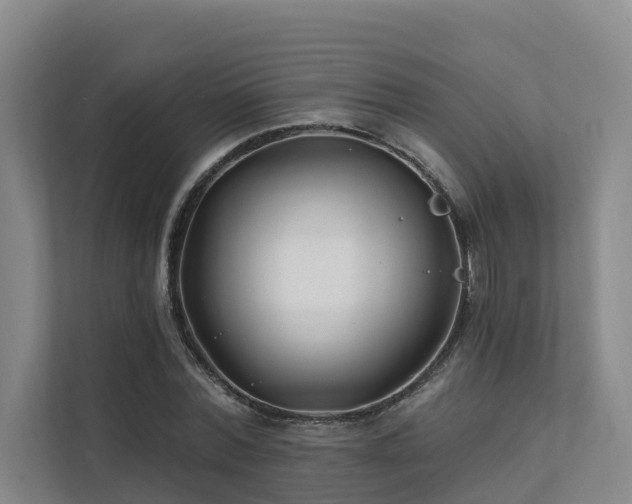 X0000111380780200907101125