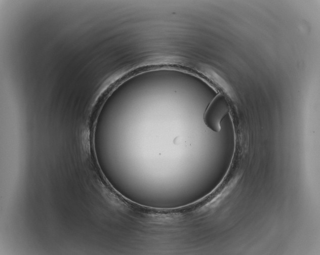 X0000111380781200907101125