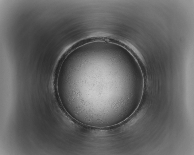 X0000111380783200907101125