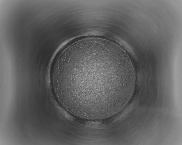 X0000111380784200907101125
