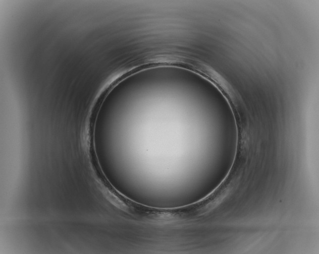 X0000111380787200907101125