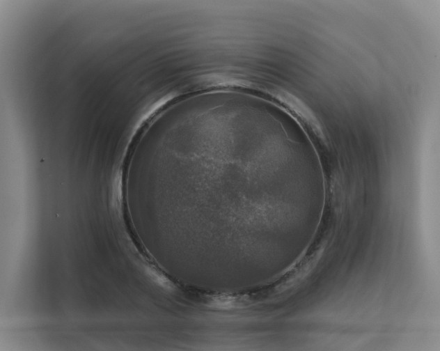 X0000111380790200907101125