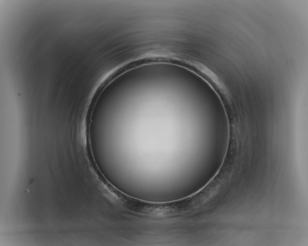 X0000111380791200907101125