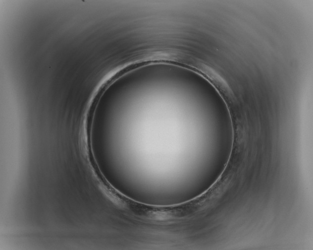 X0000111380792200907101125