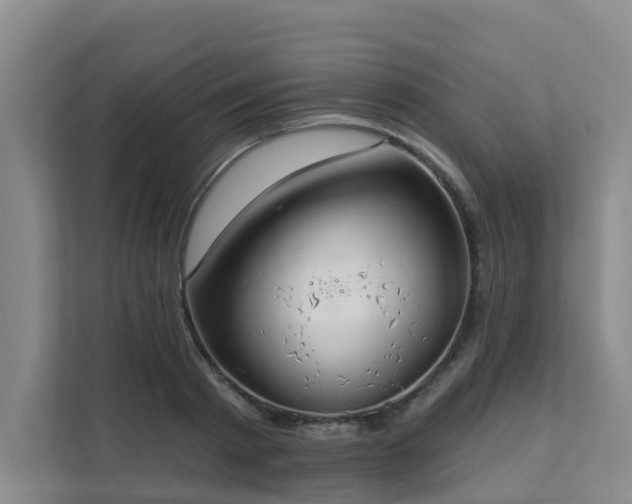 X0000111380793200907101125