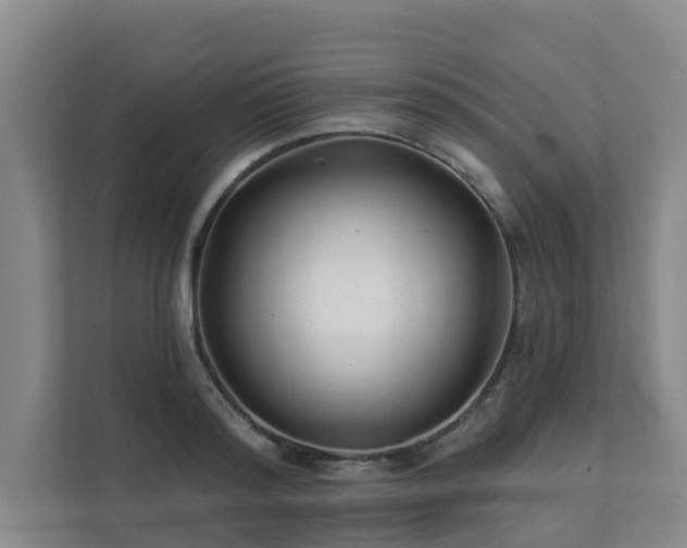 X0000111380796200907101125