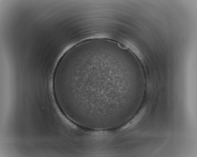 X0000111380797200907101125
