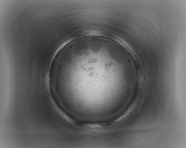 X0000111380798200907101125