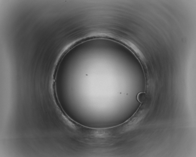 X0000111380799200907101125