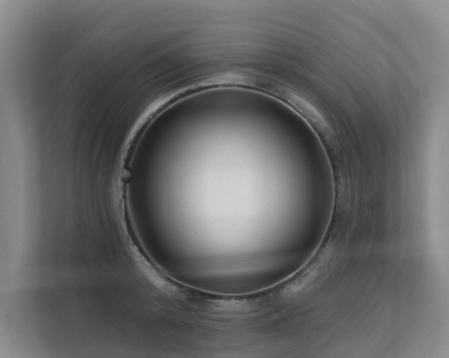 X0000111380800200907101125