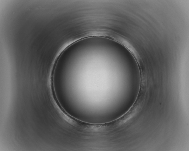 X0000111380803200907101125
