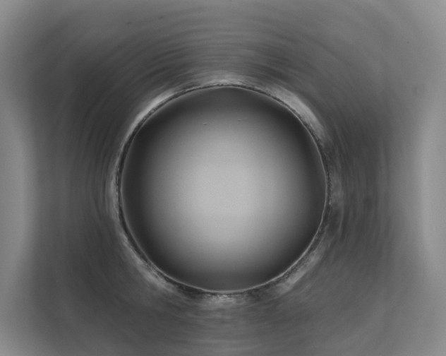 X0000111380806200907101125