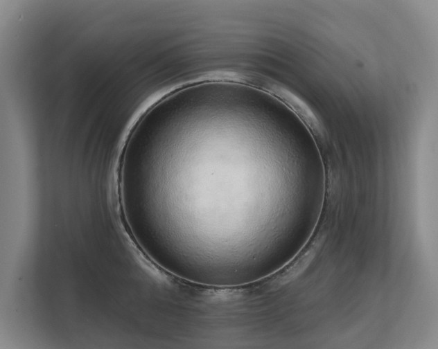 X0000111380808200907101125
