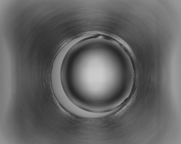 X0000111380809200907101125