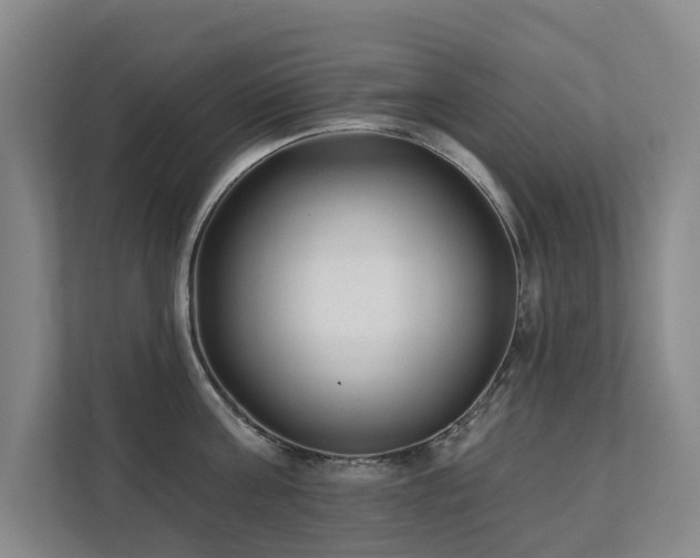 X0000111380811200907101125