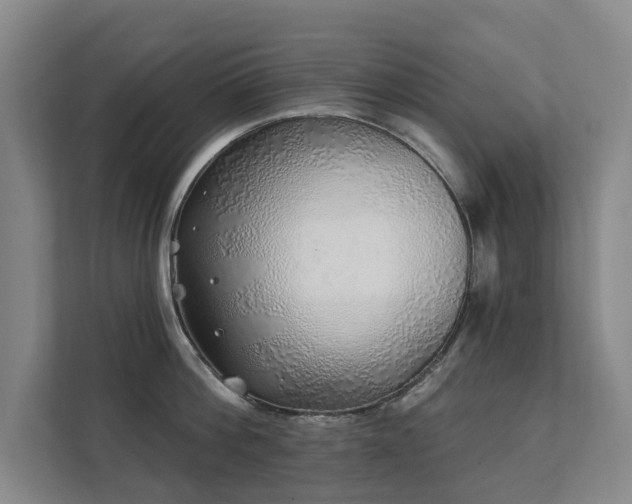 X0000111380812200907101125