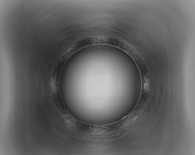 X0000111380819200907101124